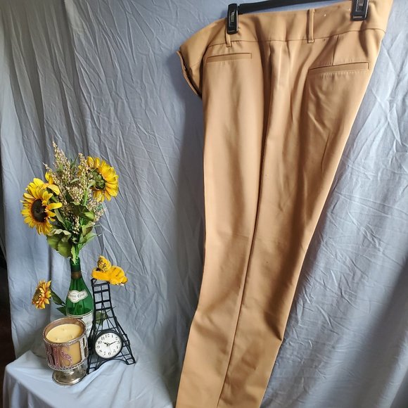 Ann Taylor Factory Pants - Ann Taylor Factory dress pants gold